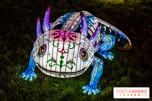 Thoiry Lumières Sauvages 2025 : le Bal des Esprits - A7C09526