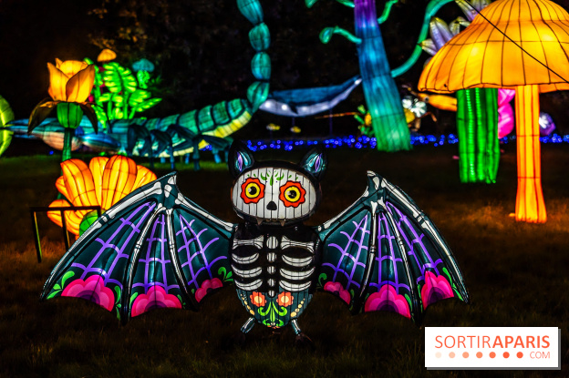 Thoiry Lumières Sauvages 2025 : le Bal des Esprits - A7C09527