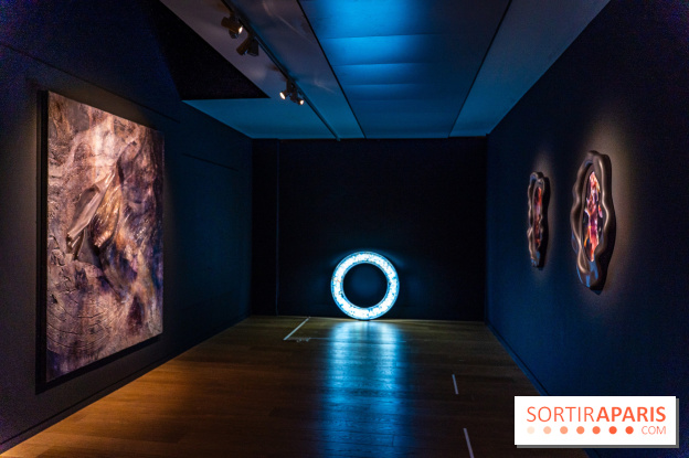 Exposition 'Couleurs de Corée, Lumière sur l’art contemporain coréen' au Centre Culturel Coréen - les photos - A7C09782