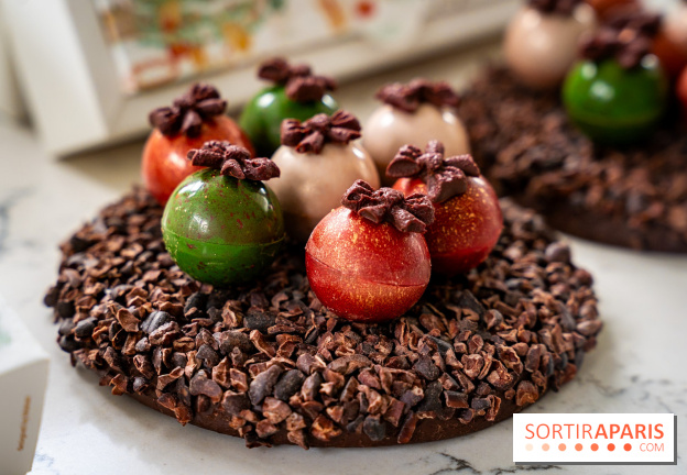 Les Bûches de Noël de Pleincœur par Maxime Frédéric 2025 et ses créations de fêtes - A7C07684