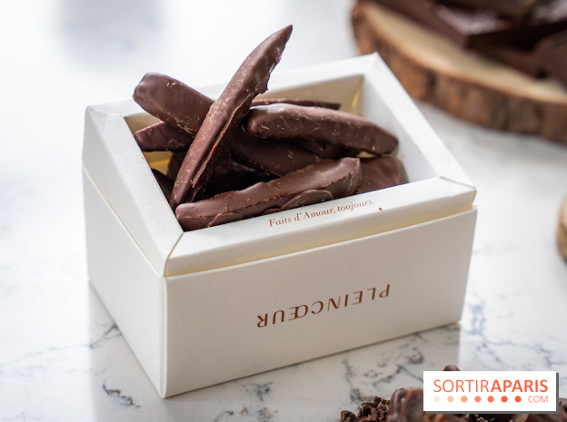 Les Bûches de Noël de Pleincœur par Maxime Frédéric 2025 et ses créations de fêtes - A7C07674