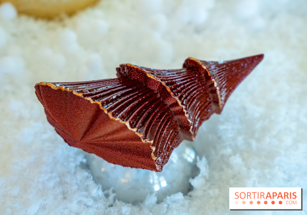 Bûche de Noël du Bristol 2025 signée Maxence Barbot : l'Art du Sommet - photos - A7C08945