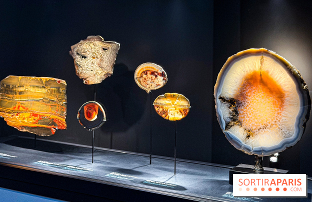 Rêveries de pierres : l'exposition rétrospective gratuite à l'Ecole des Arts Joailliers - IMG 0070