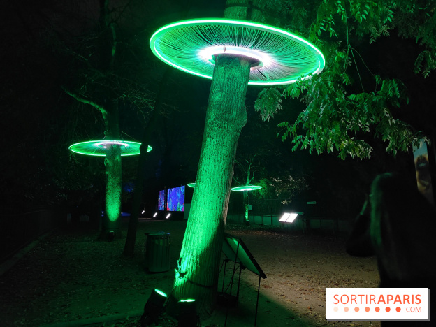 En voie d'illumination : Lumières de la nature : le festival nocturne hivernal du Jardin des Plantes - fotor 1762431293928