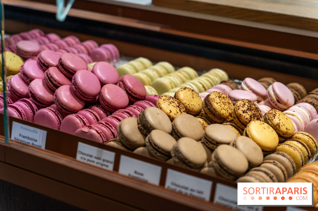 Bûches de Noël du jardin Sucré 2025