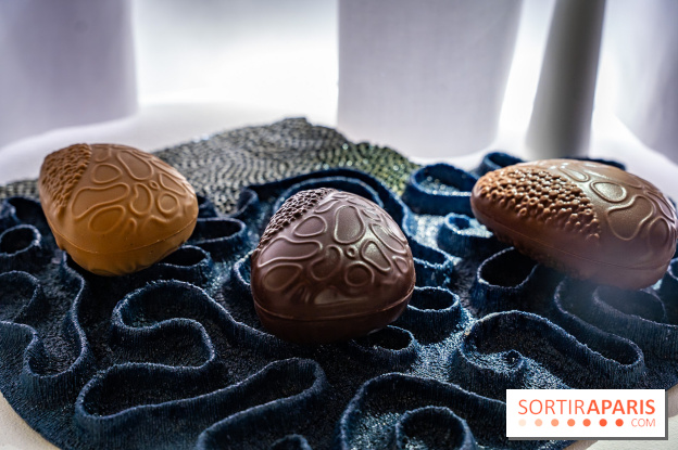 Bûches de Noël et créations de fête 2025 de Pierre Hermé : les Abysses - A7C07844