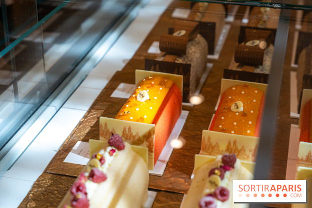 Bûche de Noël Lenôtre 2025 : Le train des Merveilles et les créations de fête - photos - A7C07614