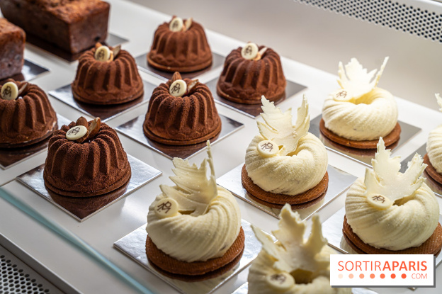 Bûches de Noël de la Pâtisserie Matthieu Pauline Paris 7e - A7C07762