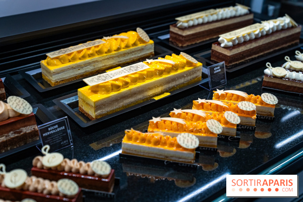 Bûches de Noël de Pascal Caffet 2025 et créations de fête - A7C08605