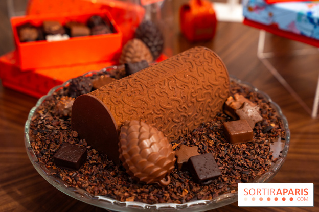 Bûche de Noël et créations de fête de Chapon 2025 - A7C07434