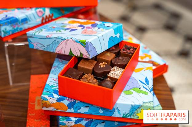 Bûche de Noël et créations de fête de Chapon 2025 - A7C07437