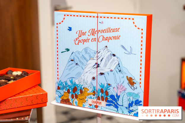 Bûche de Noël et créations de fête de Chapon 2025 - A7C07438