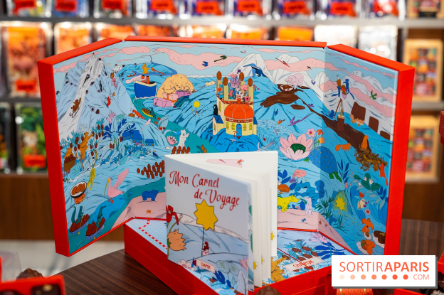 Bûche de Noël et créations de fête de Chapon 2025 - A7C07439