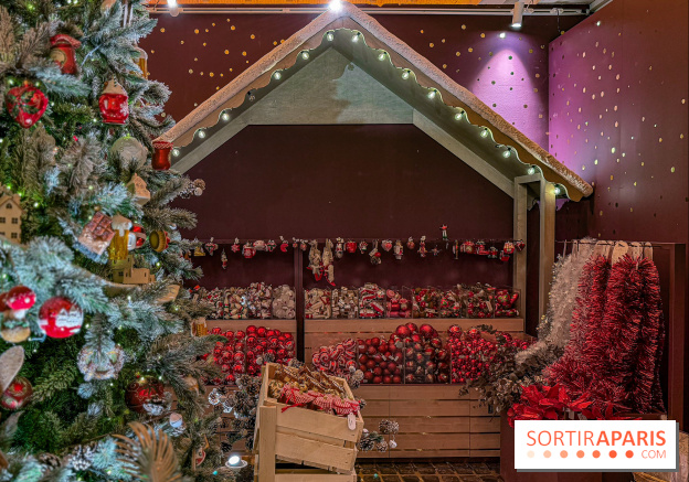 Les vitrines de Noël 2025 du Bon Marché : le grand magasin se métamorphose en (Bon) Marché de Noël - IMG 0630