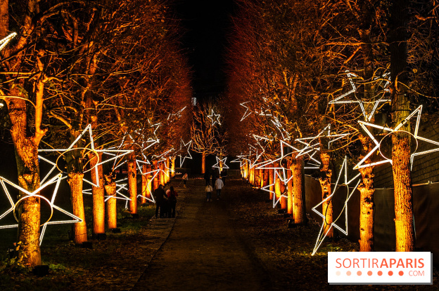 Lumières en Seine 2025, les photos du parcours de lumières - A7C00359