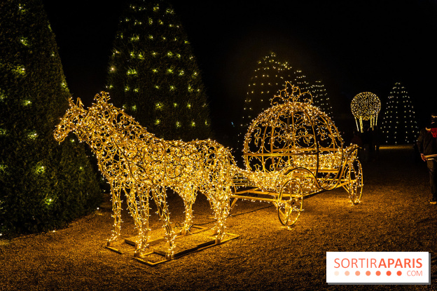 Lumières en Seine 2025, les photos du parcours de lumières - A7C00416