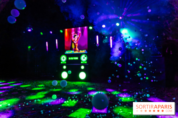 Lumières en Seine 2025, les photos du parcours de lumières - A7C00463