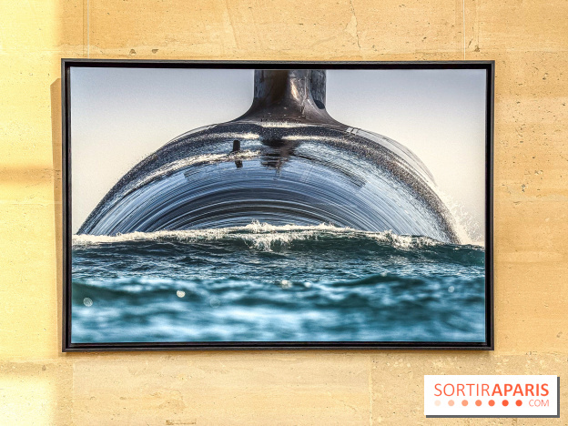 Les Peintres de la Marine : l’exposition dédiée à l’univers maritime à l’Espace Richaud à Versailles - IMG 1865