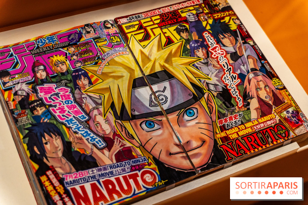 Exposition Manga au Musée Guimet, les photos  - A7C01227