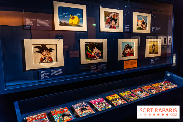 Exposition Manga au Musée Guimet, les photos  - A7C01236