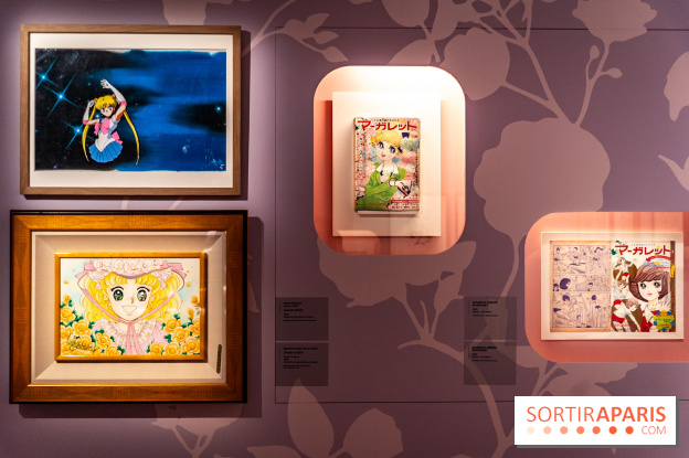 Exposition Manga au Musée Guimet, les photos  - A7C01251