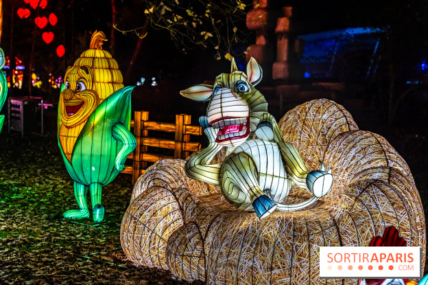 L'Odyssée Lumineuse au Parc Floral 2025, les photos