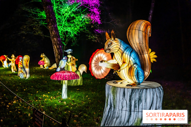 L'Odyssée Lumineuse au Parc Floral 2025, les photos