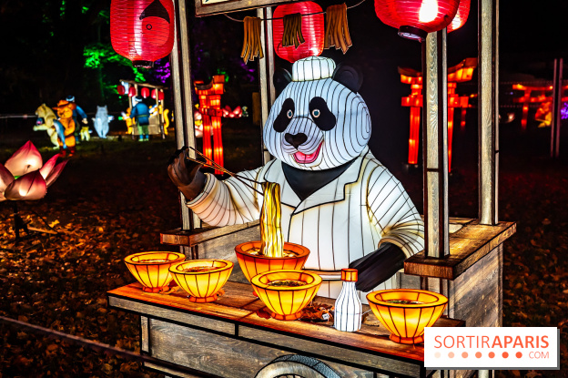 L'Odyssée Lumineuse au Parc Floral 2025, les photos