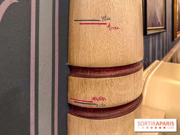 World of Frozen - Rencontre Royale détail Anna Elsa