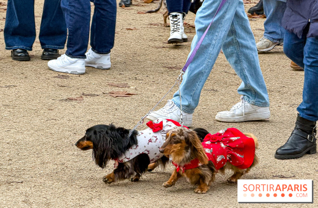 Paris Sausage Walk, la Marche des Teckels 2025