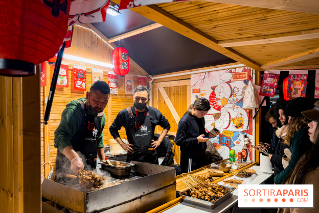 Le Japon en Lumières : le parcours lumineux et festival des lanternes 2025 du Jardin d'Acclimatation - IMG 5036