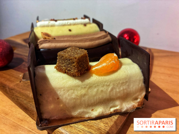 Bûches de Noël végétales de La Mauvaise Herbe - IMG 1589