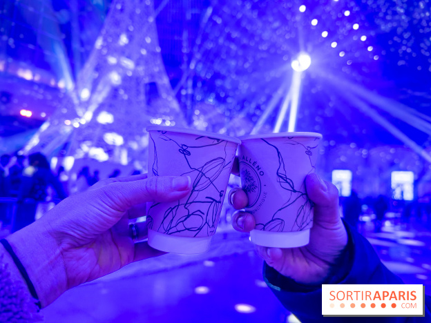 Le Grand Palais des Glaces 2025 - les photos - IMG 8111