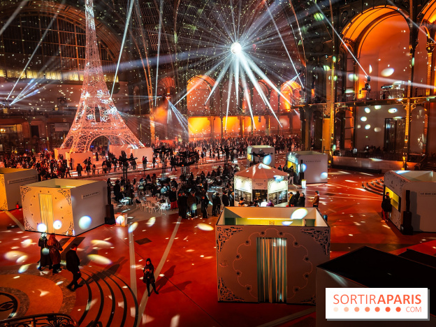 Le Grand Palais des Glaces 2025 - les photos
