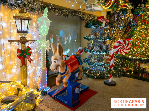 Ce passionné en Essonne transforme son jardin en Village de Noël à visiter gratuitement