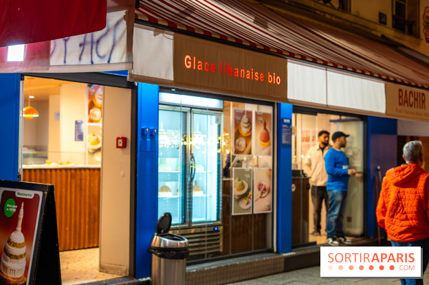 Les bûches de Noël glacées de Bachir spécial dômes parisiens  - A7C03253