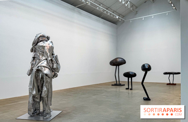 Erwin Wurm - Tomorrow yes : l'exposition gratuite à la galerie Thaddaeus Ropac, à Pantin (93) - IMG 9187