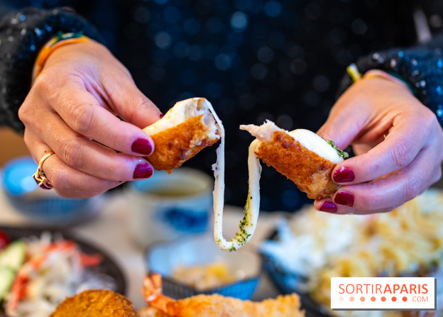 Katsu Katsu, restaurant japonais spécialisé dans la panure Paris 2e - A7C03628