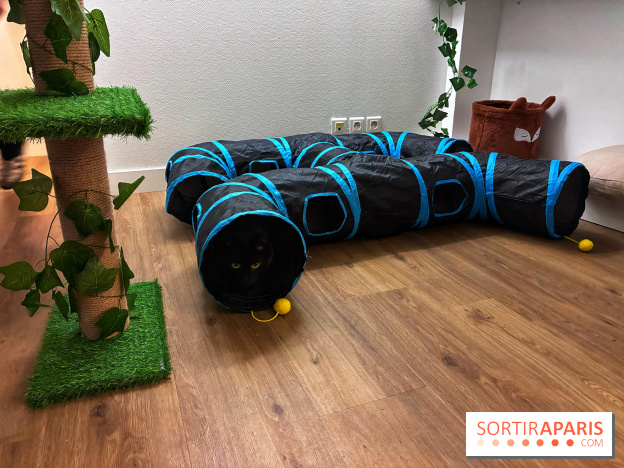 Le Chatelier - IMG 2482