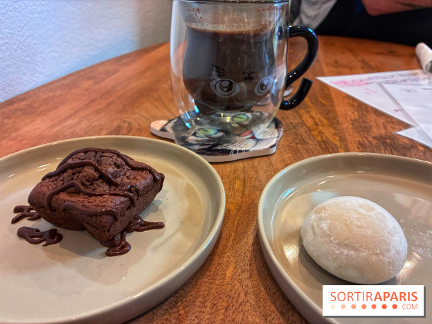 Le Chatelier - IMG 2492