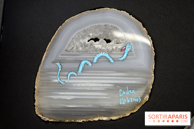 Codex on the Rocks, nos photos de l'expo au Musée de Minéralogie à Paris