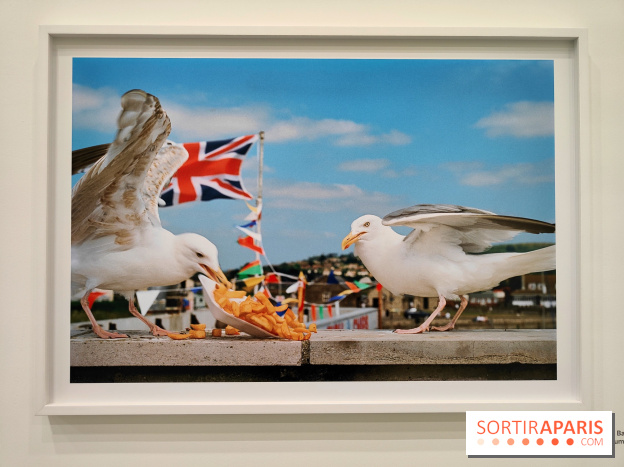 Global Warning : le photographe Martin Parr à l'honneur dans une exposition au Jeu de Paume