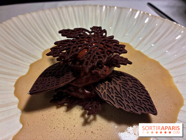 Le Céladon - IMG 2708