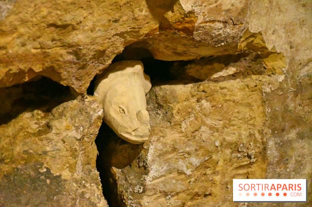 Les Caves du Roi, les mystérieux souterrains sous Sèvres - DSC 6266