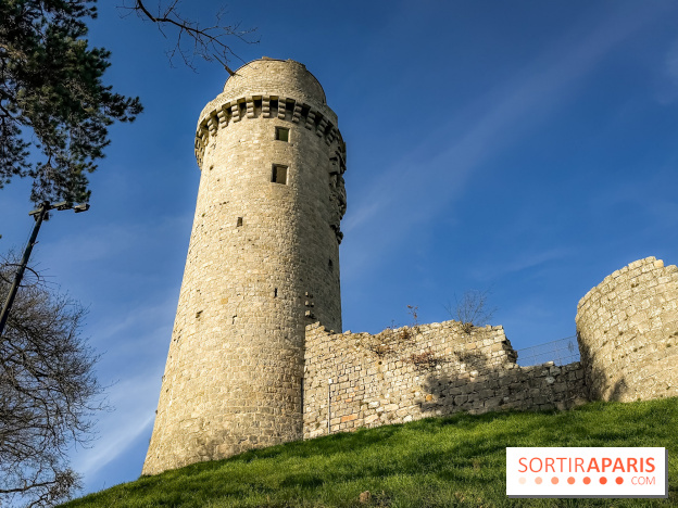 Ile-de-France : La Tour de Montlhéry au panorama unique sur l'Essonne - IMG 0592