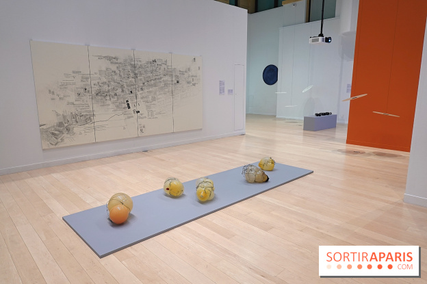 Exposition Contraste et indifférence au Centre culturel canadien - nos photos