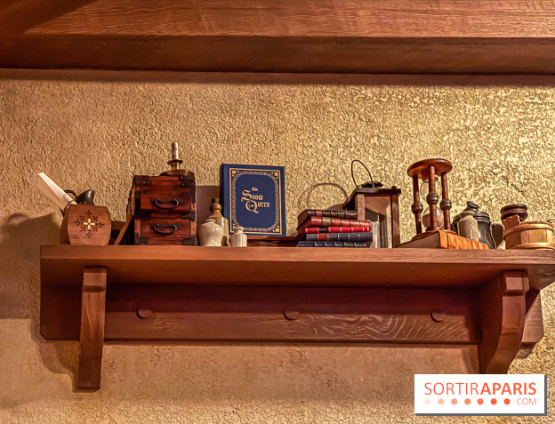 Frozen Ever After : l'attraction La Reine des Neiges à Disneyland Paris - IMG 3831