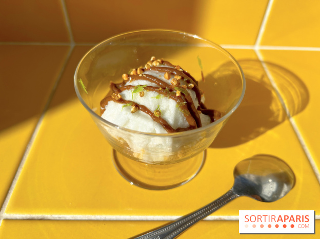 Tout Day - Ile flottante ail noir