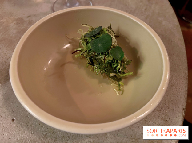 Vivide - Sorbet aux herbes 