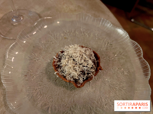 Vivide - Tout noisette